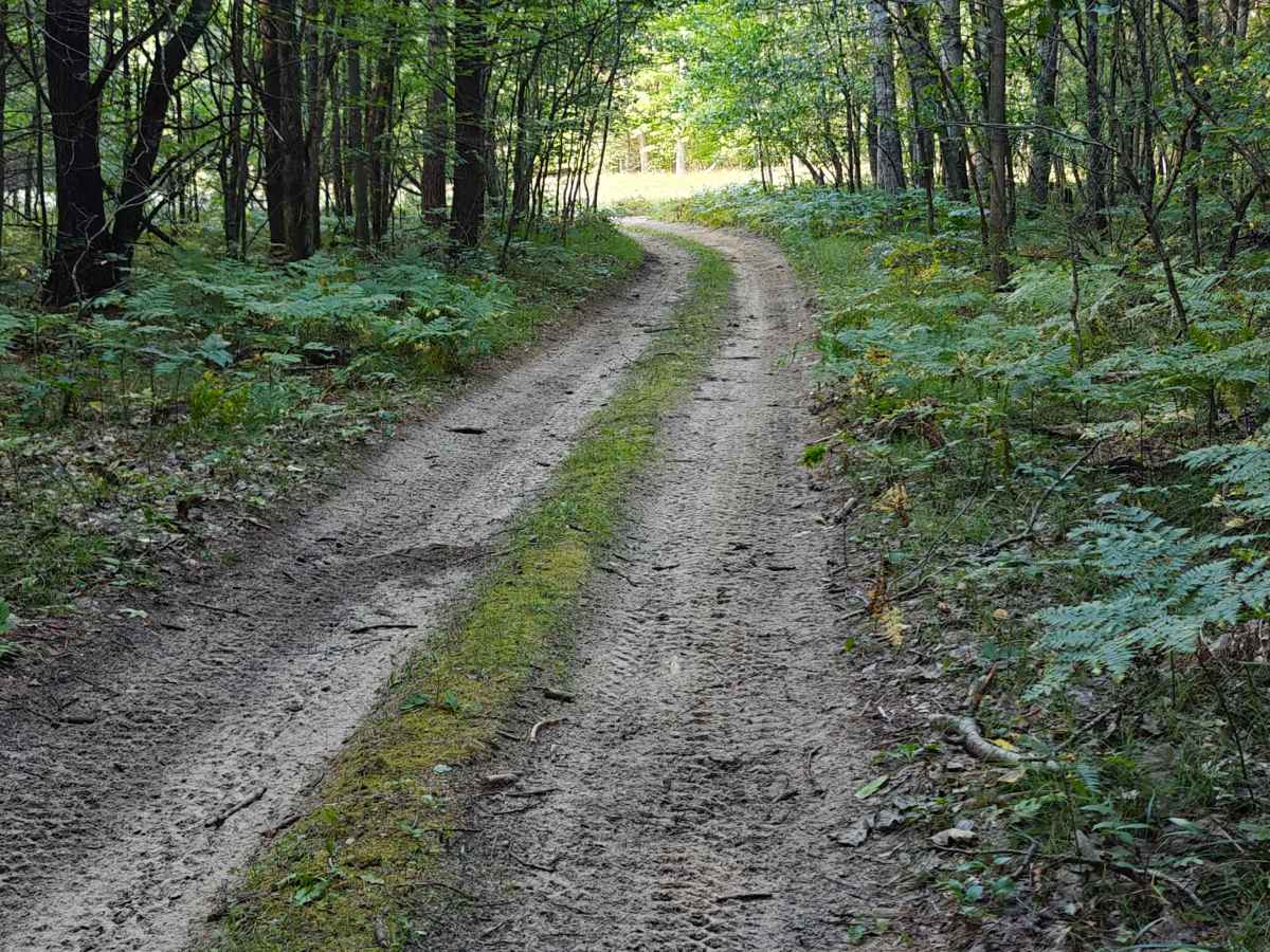 Timreck South Spur photo 3