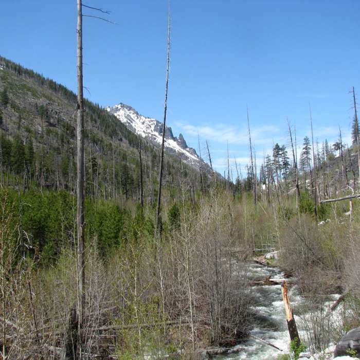 Near Mill Creek Falls via Mill Creek Trail