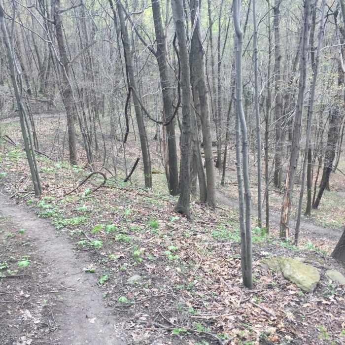 Near Cool Spirit Loop