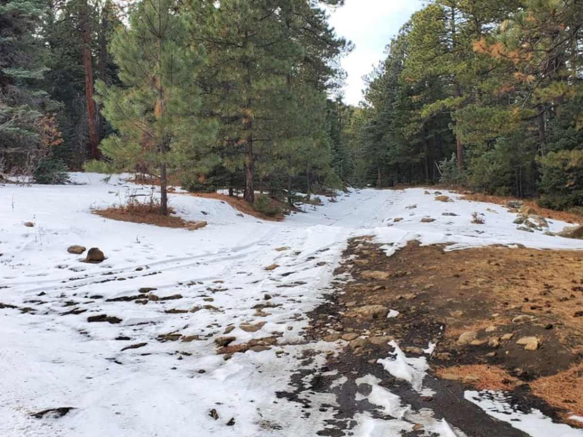 Ute Canyon trail photo