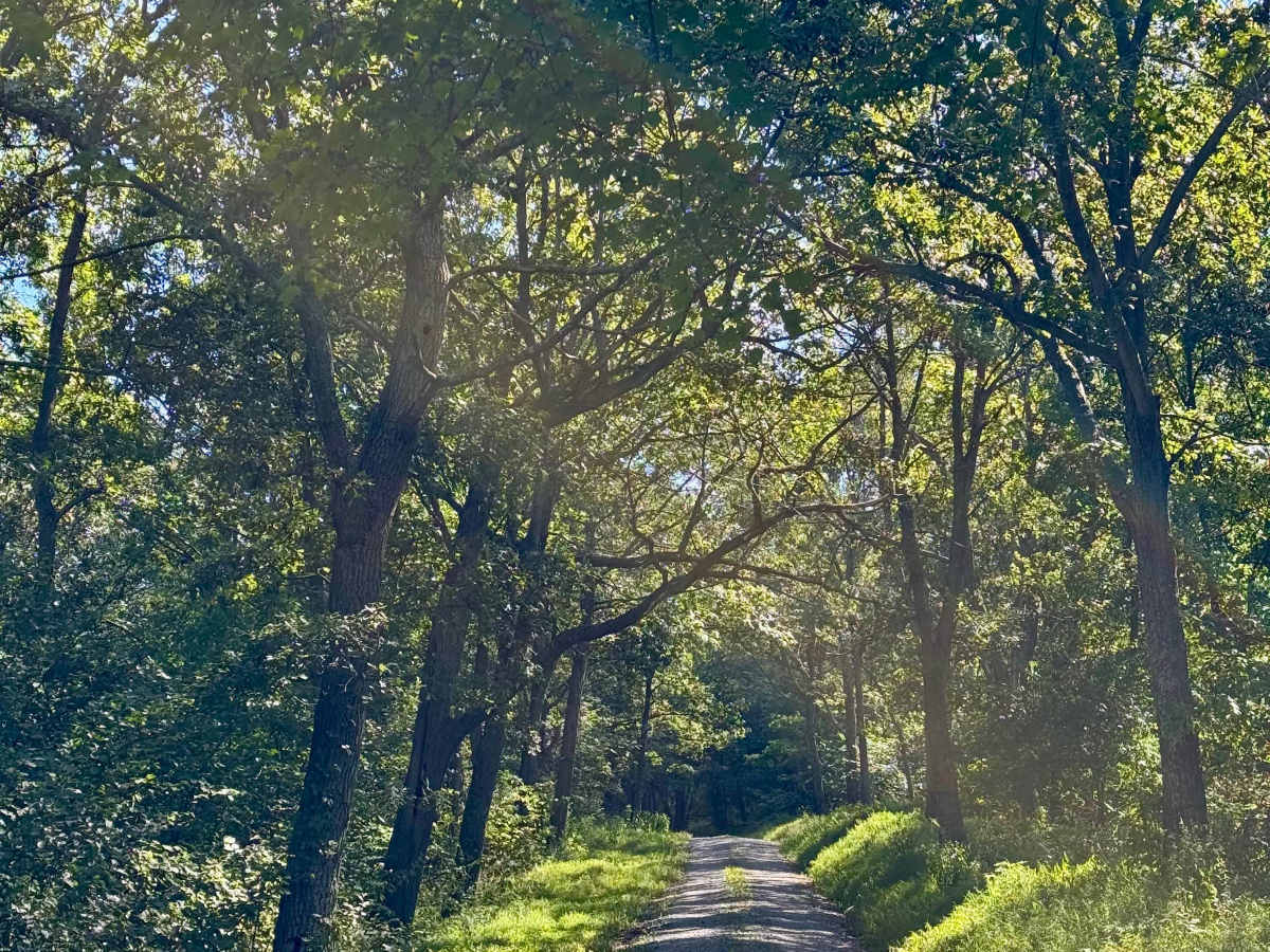 Fisher Road photo 4