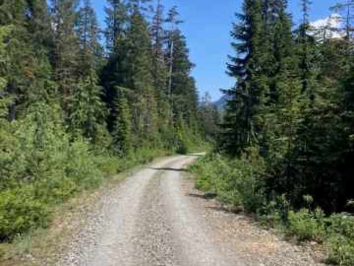Money Creek photo 4