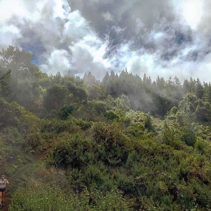 Near Maui Skyline Loop