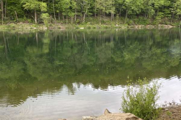 Nile Road to Gauley River