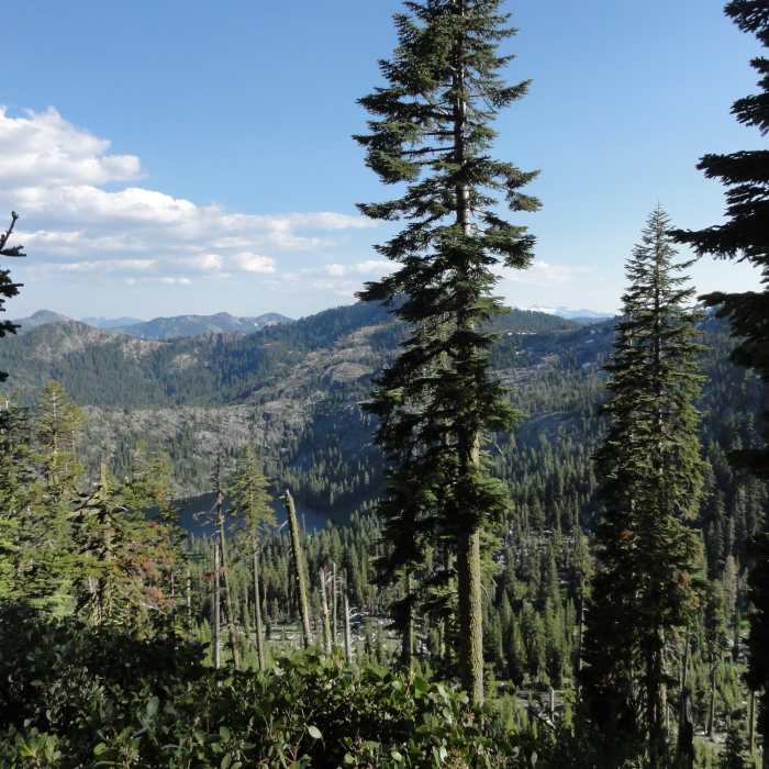 Near Bingham Lake Trail #5583