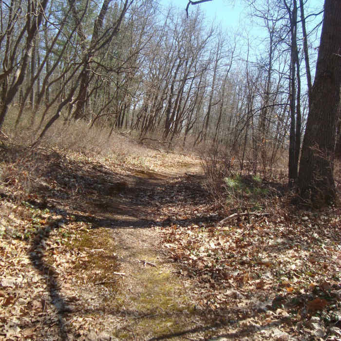 Trail headed to Crooked Lake to view wetland dependent wildlife. Near Crooked Lake Loop Trail