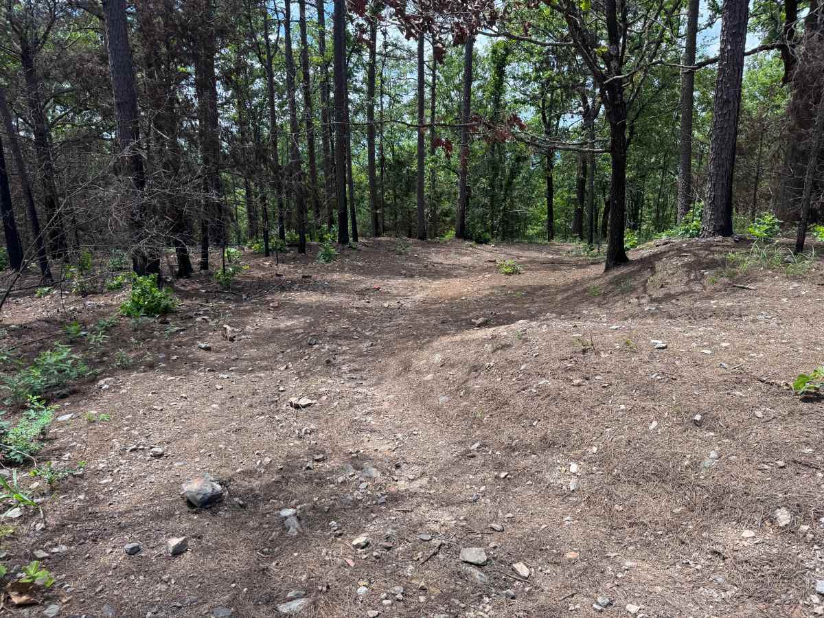 Gaston Mountain photo 5