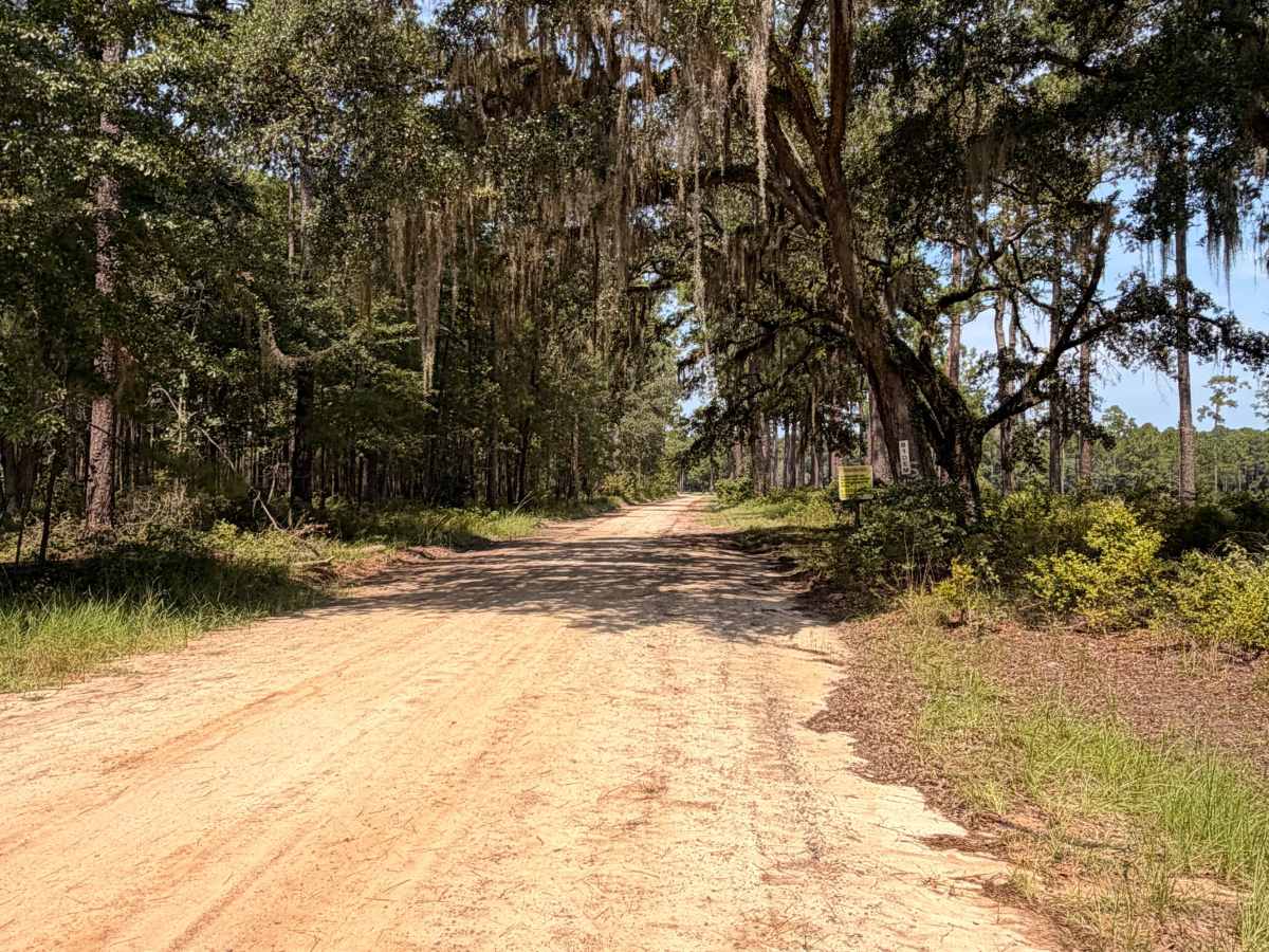 FS 102 trail photo