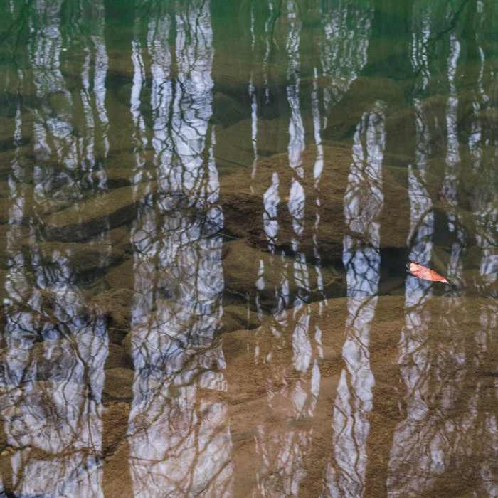 Near Wissahickon Valley Park Near Wissahickon Valley Park