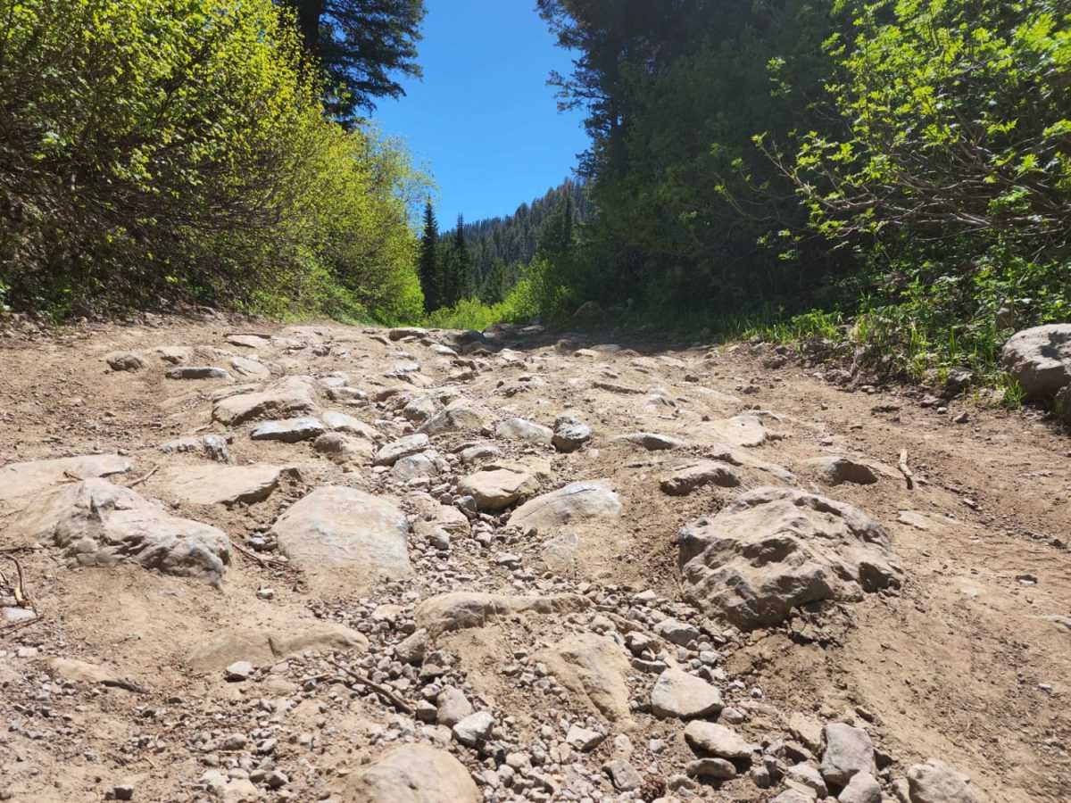 Franklin Basin Idaho Section photo 6