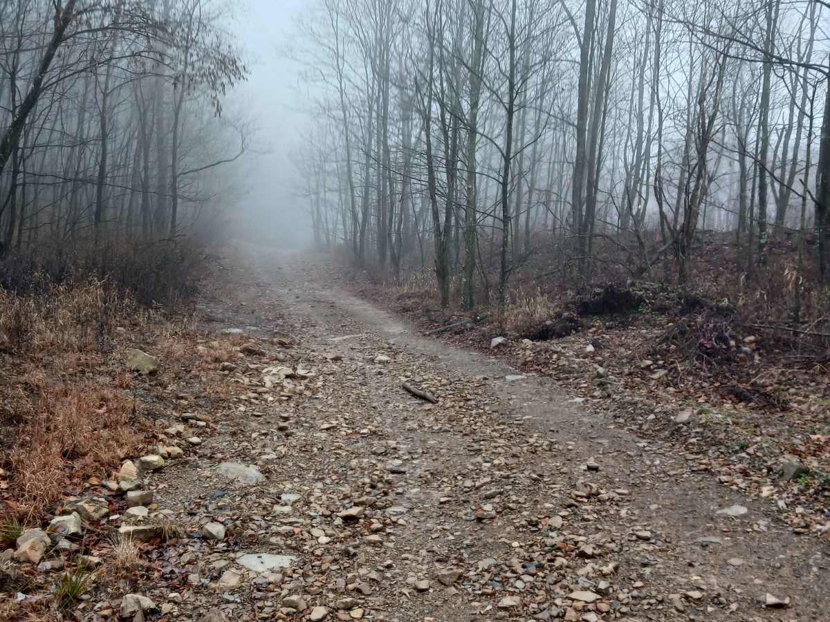 Boomerang - Rock Run Recreation Area photo 5