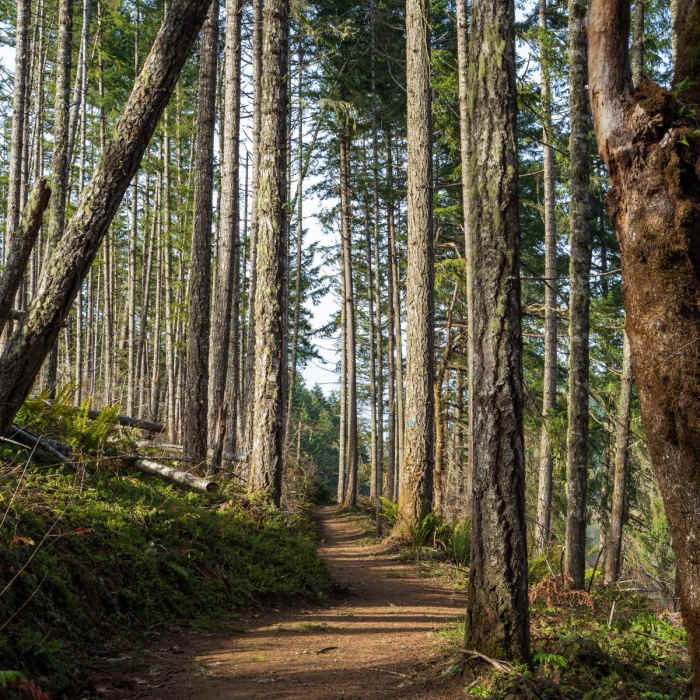 Near Cooper Creek Reservoir Trail