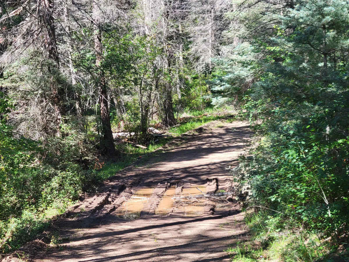 Glorieta Baldy photo 6