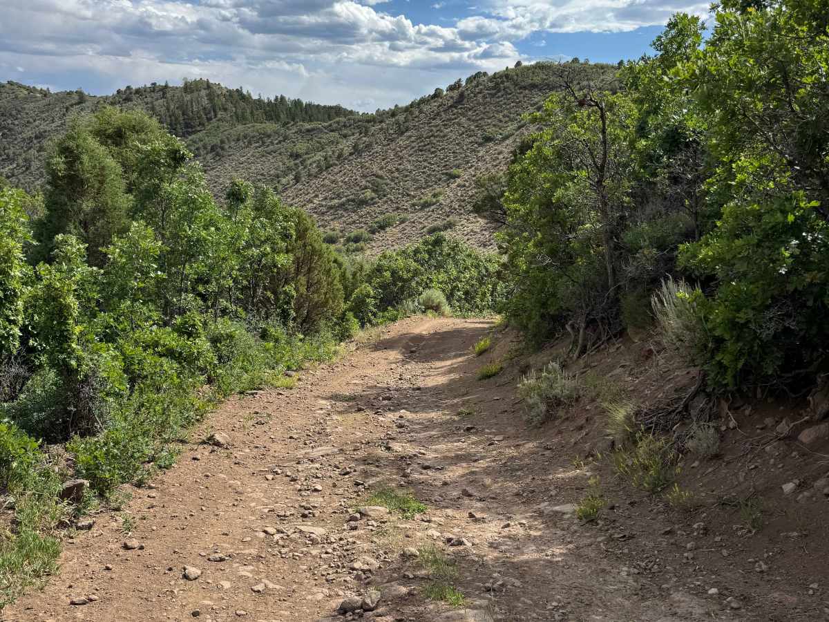 BLM 8452 photo 5