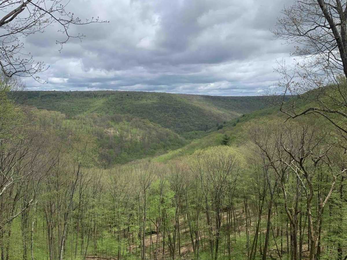 Lost Reactor Trail trail photo