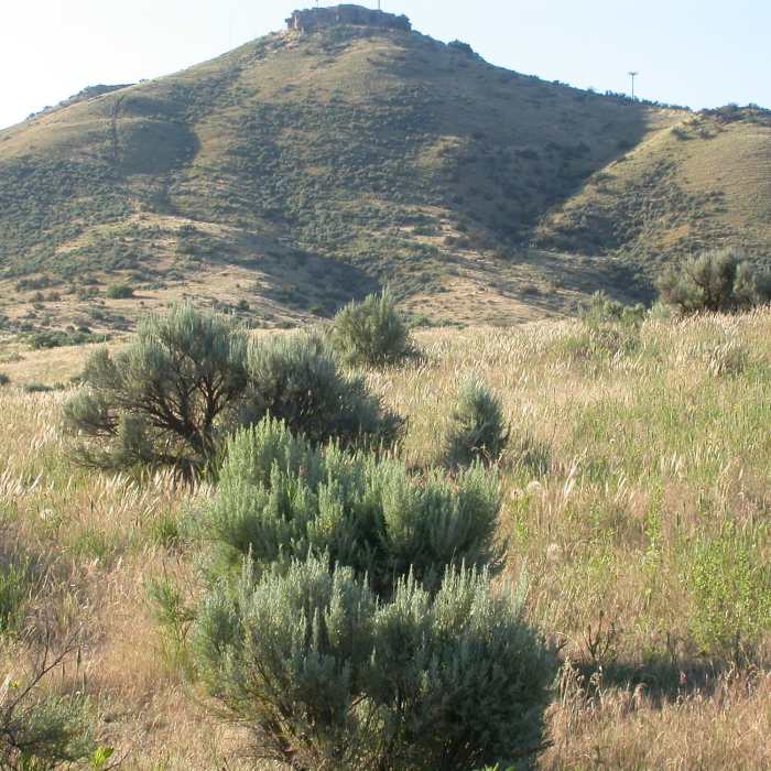 Near Table Rock Loop Trail - Trail #16