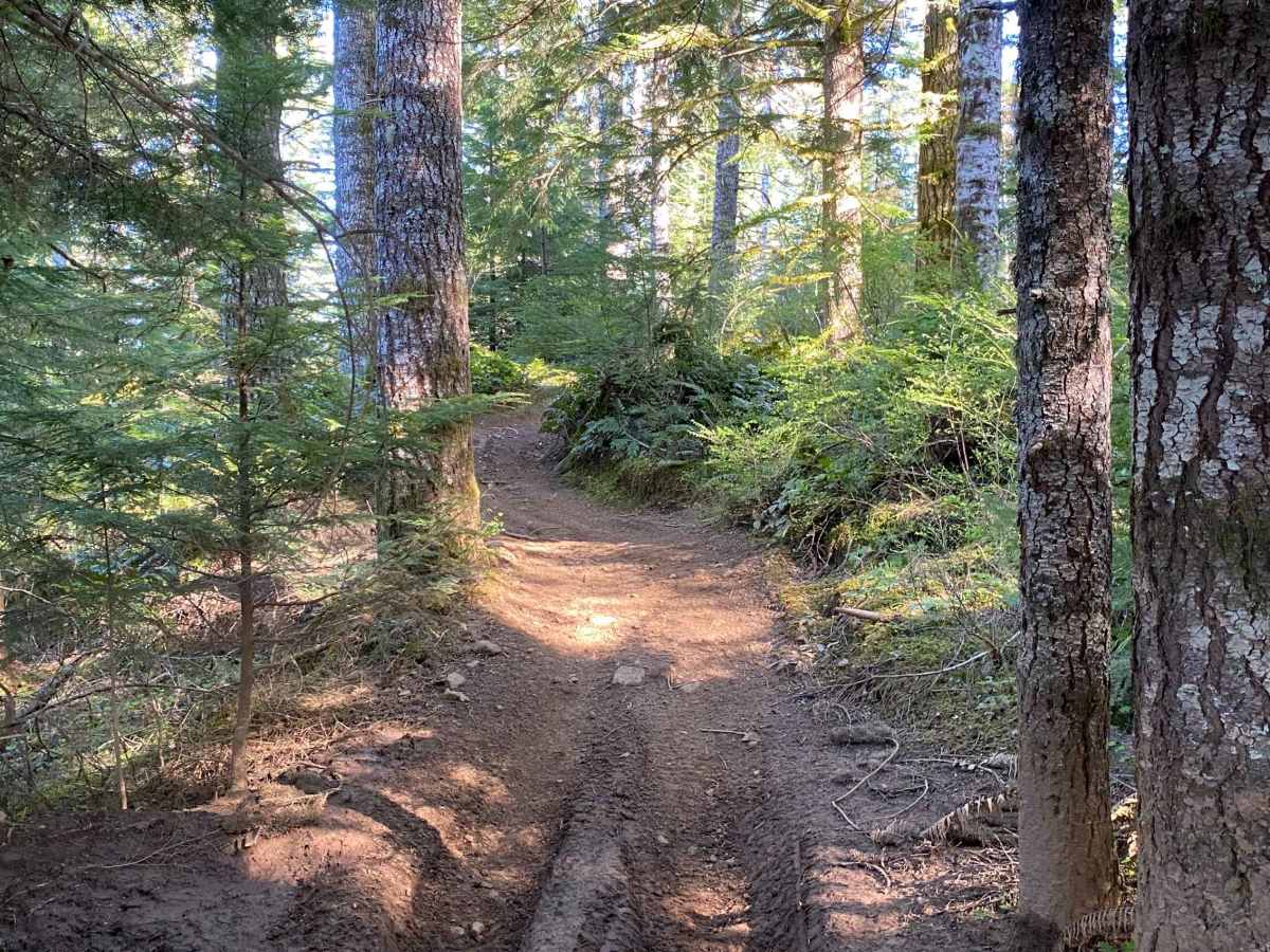 Trail 21 The Chute photo 4