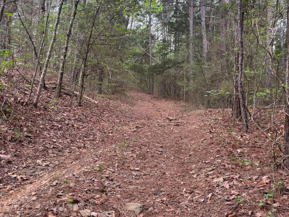 Point Remove Creek Spillway photo 3