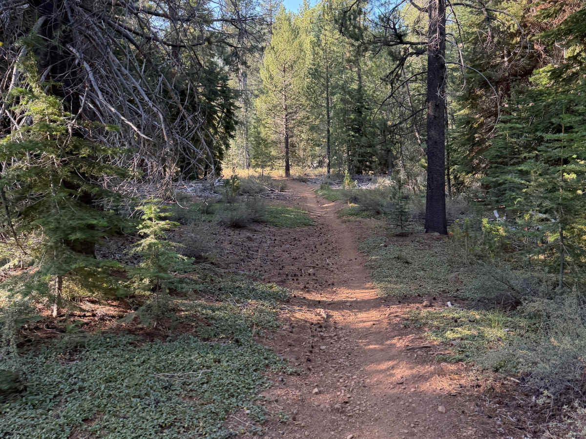 06-08 East Moto Trail photo 5