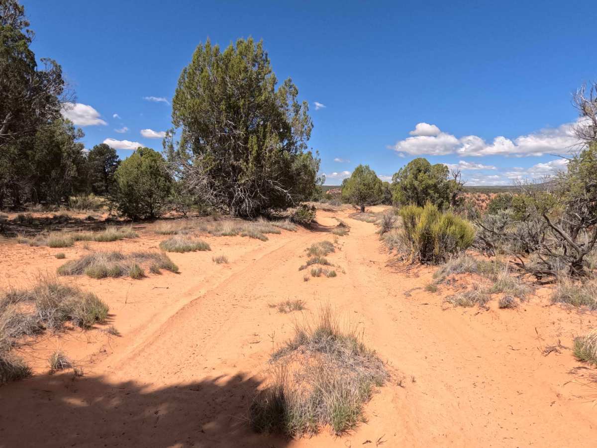 BLM 101B photo 6
