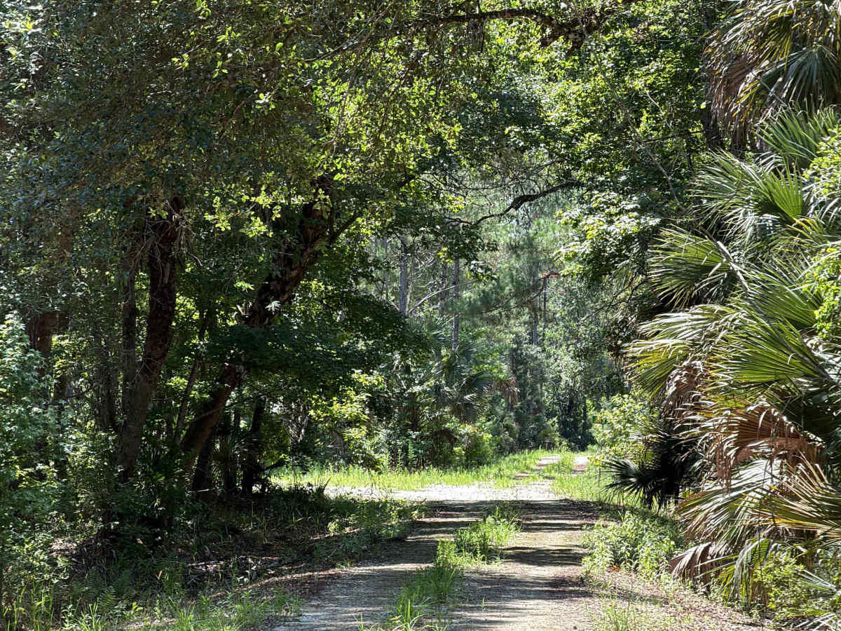 Marsh Road photo 6