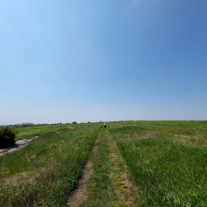 Near Hiking Club Route