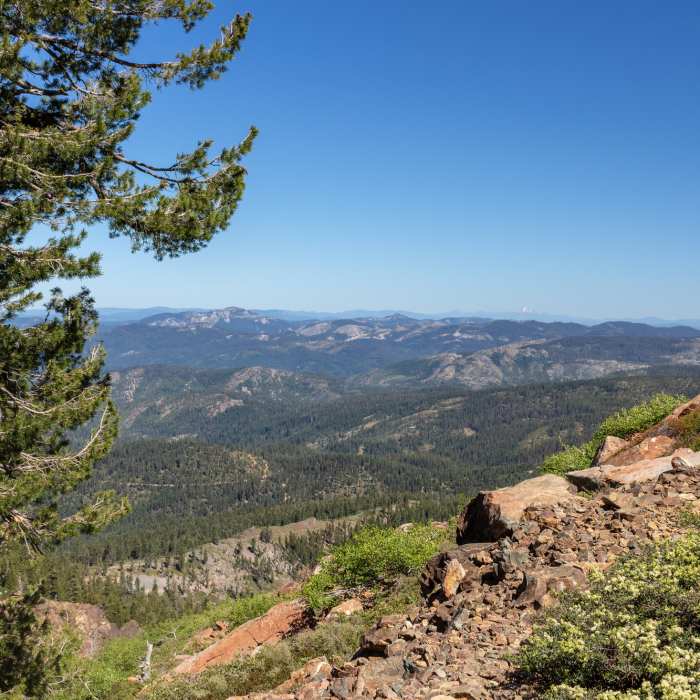 Near Sierra Buttes Trail #12E07