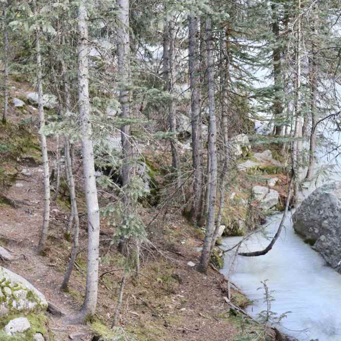 Near Nambe Lake Trail