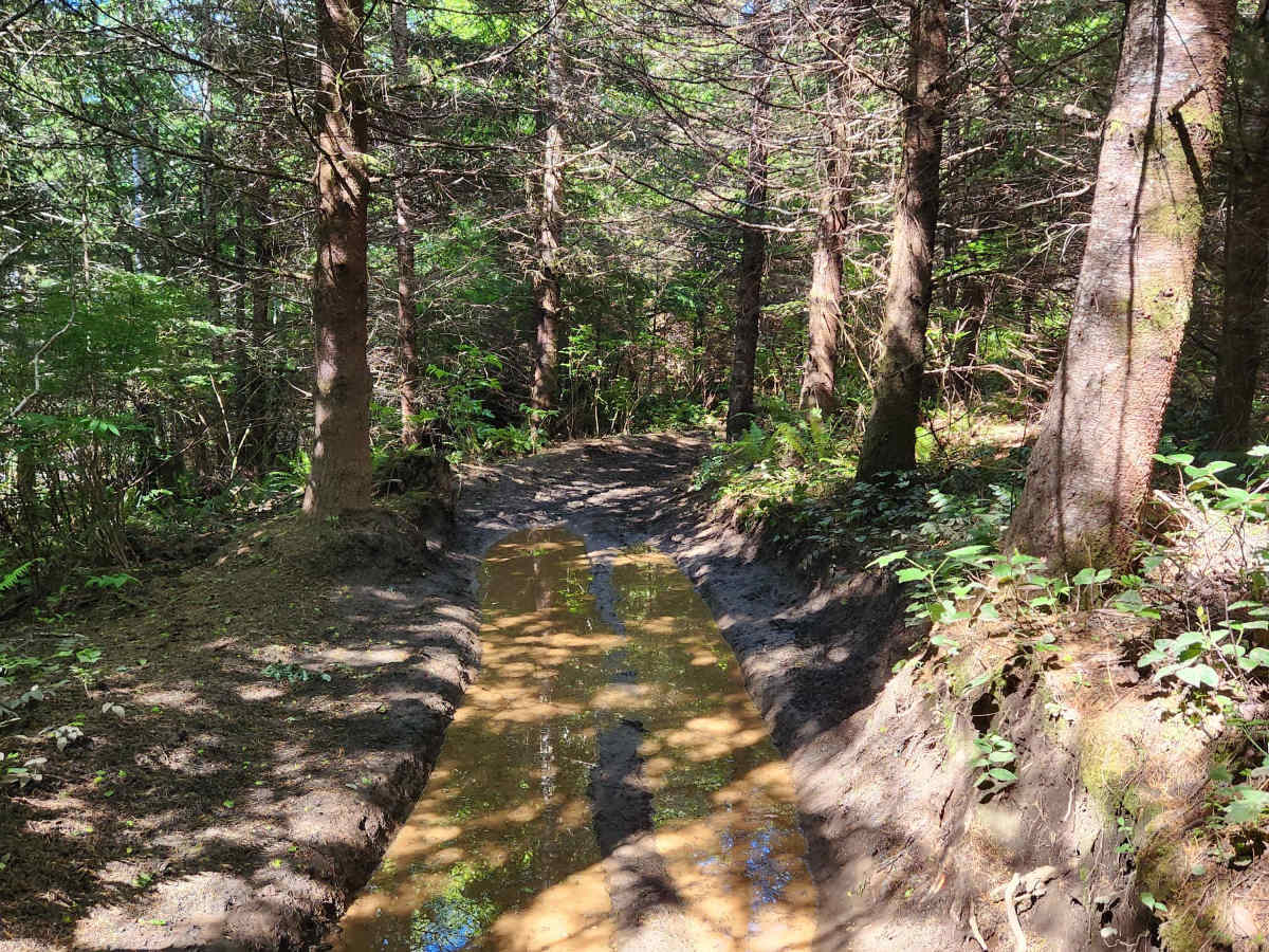 North Rim Trail #2 photo 3