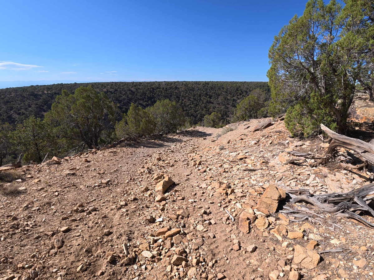 BLM 777 trail photo
