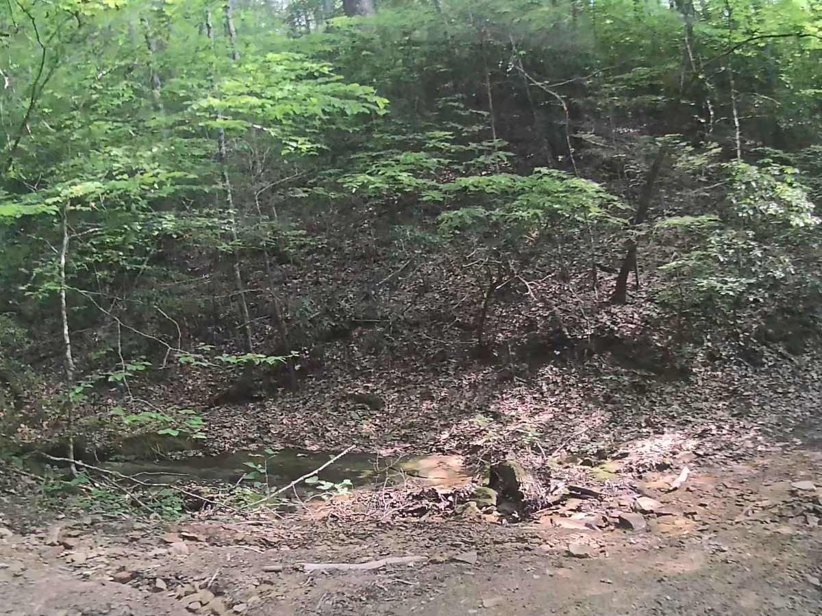Martins Fork Trail photo 5