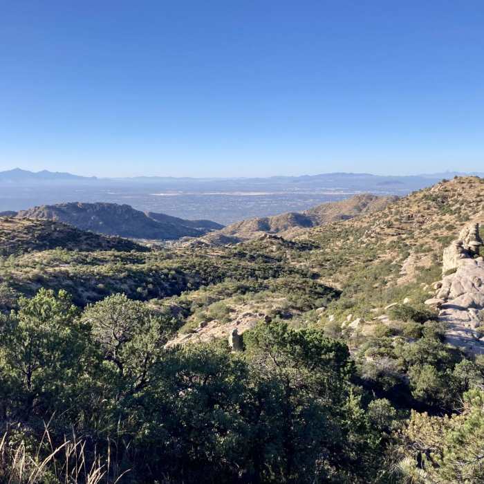 Near Bug Springs Trail Near Bug Springs Trail