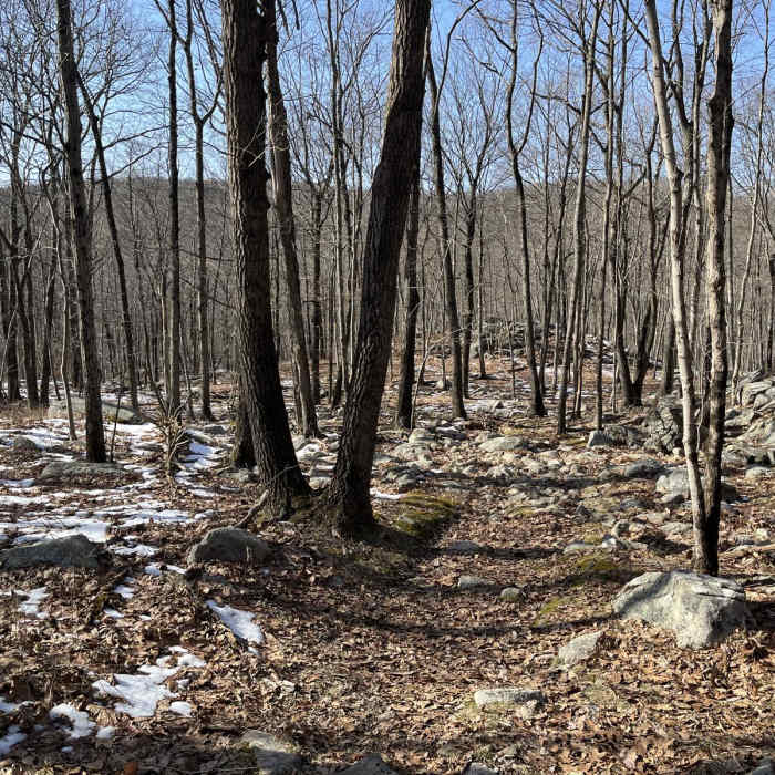 Near Righter Mine Loop Near Righter Mine Loop