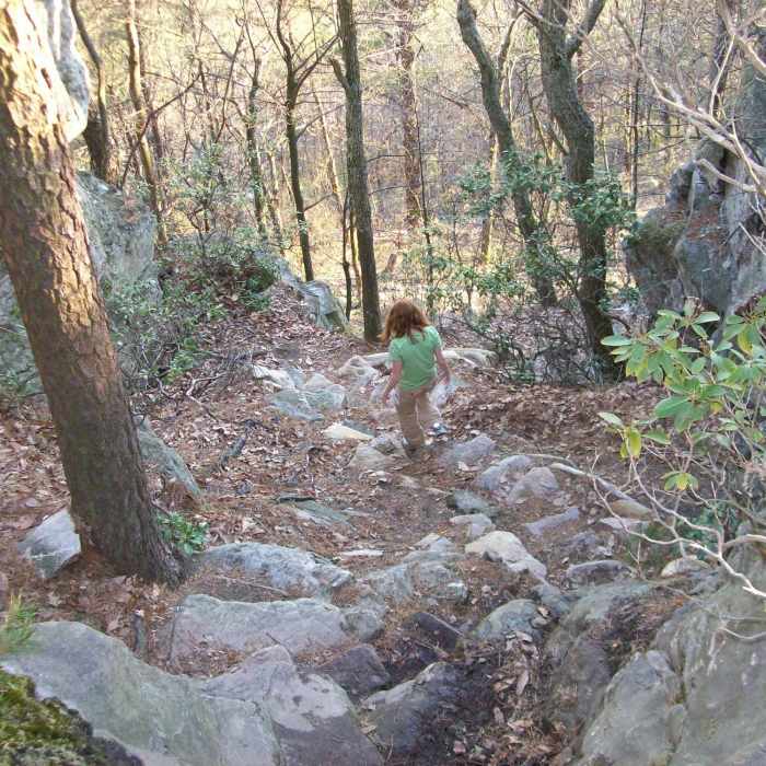 Near Grindstone Trail