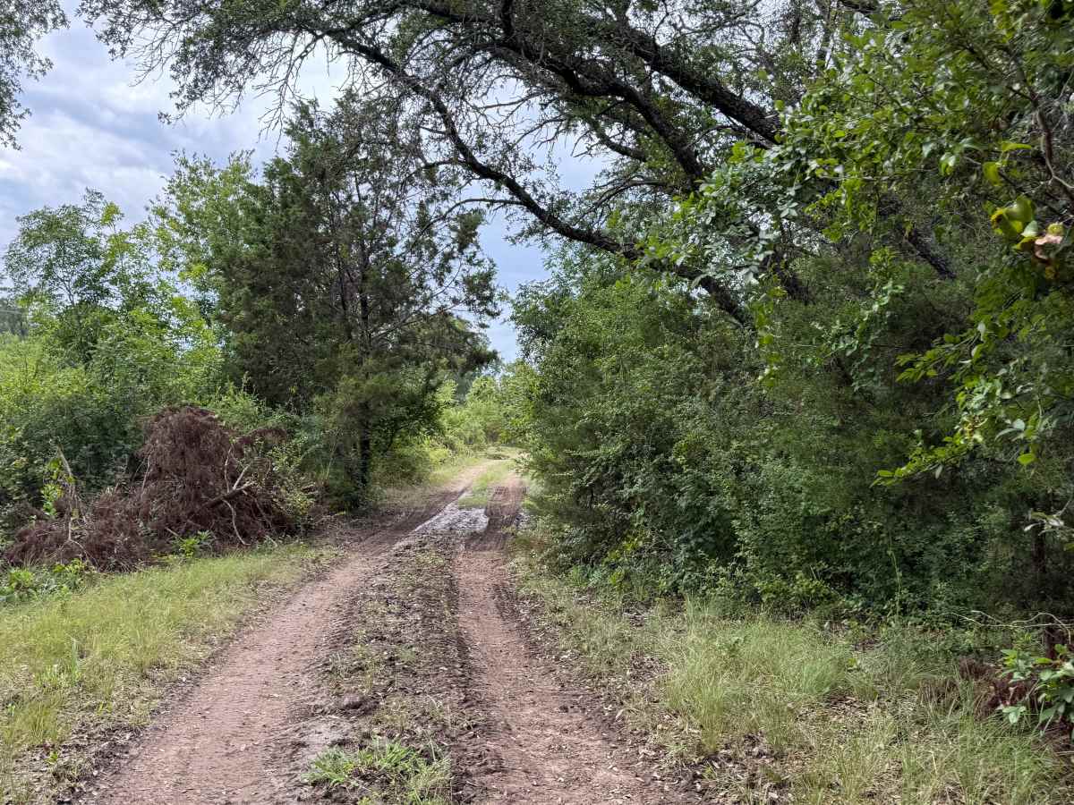 Clara's Orchard trail photo