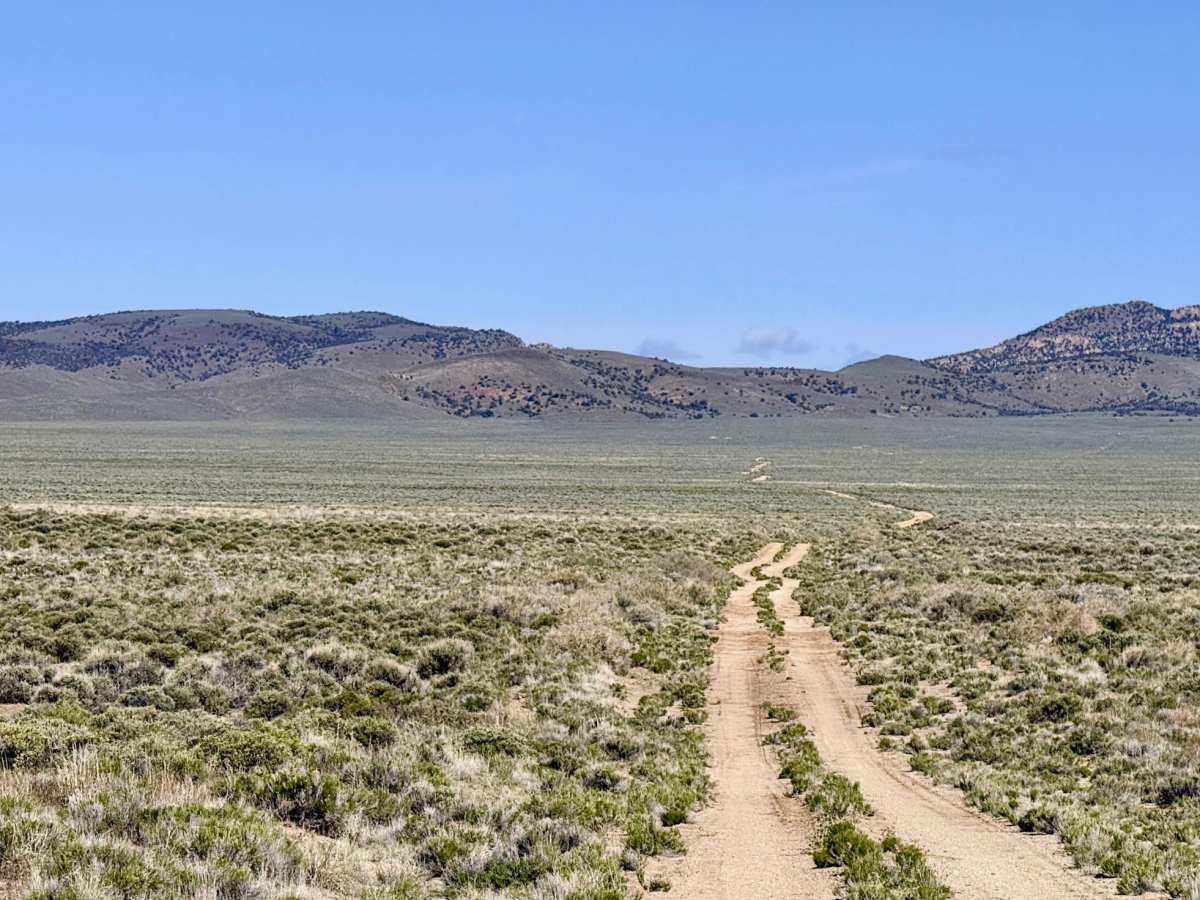 Baxter Spring - FS 44523 photo 4