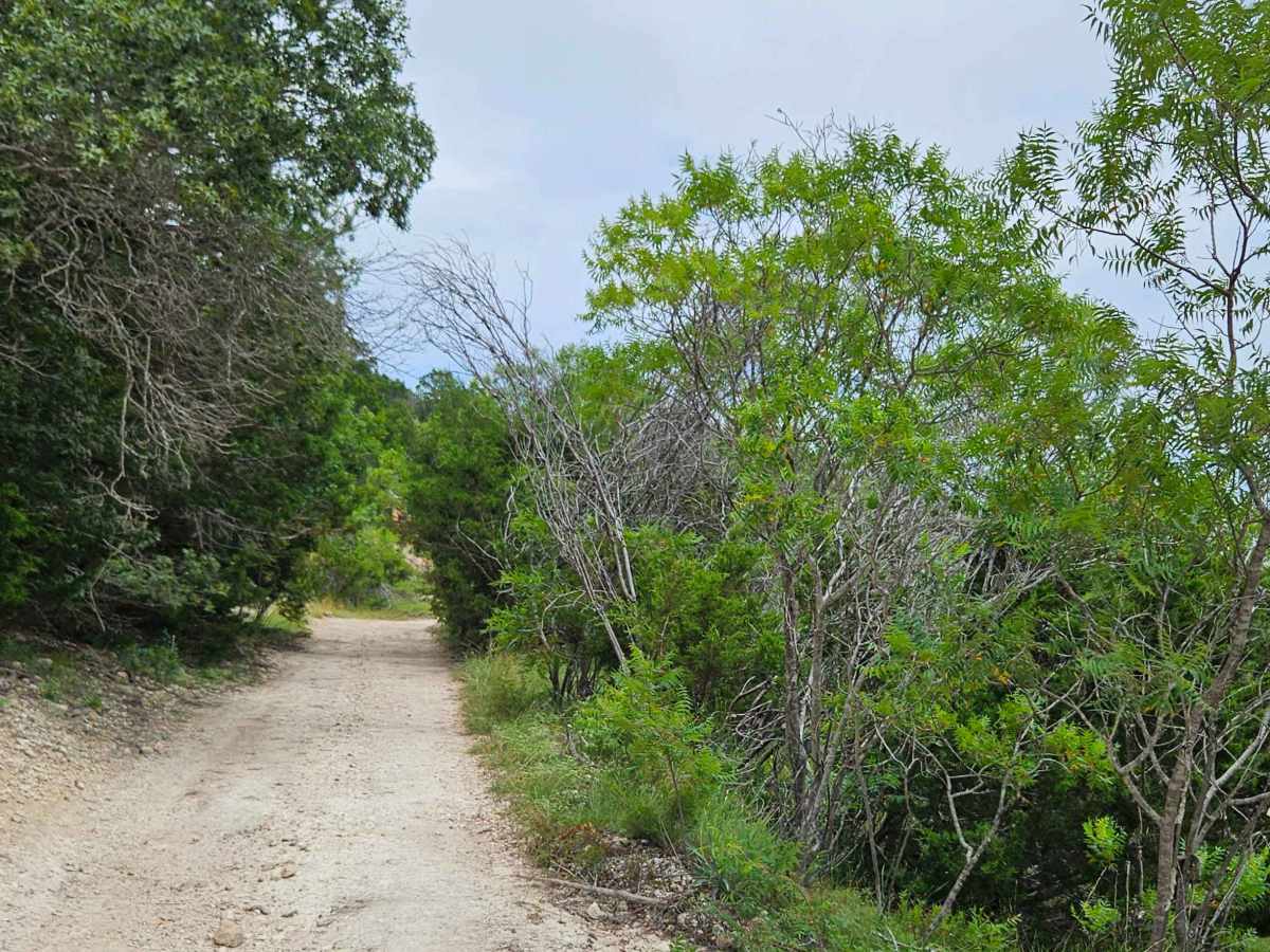 Lasso Spur photo 6