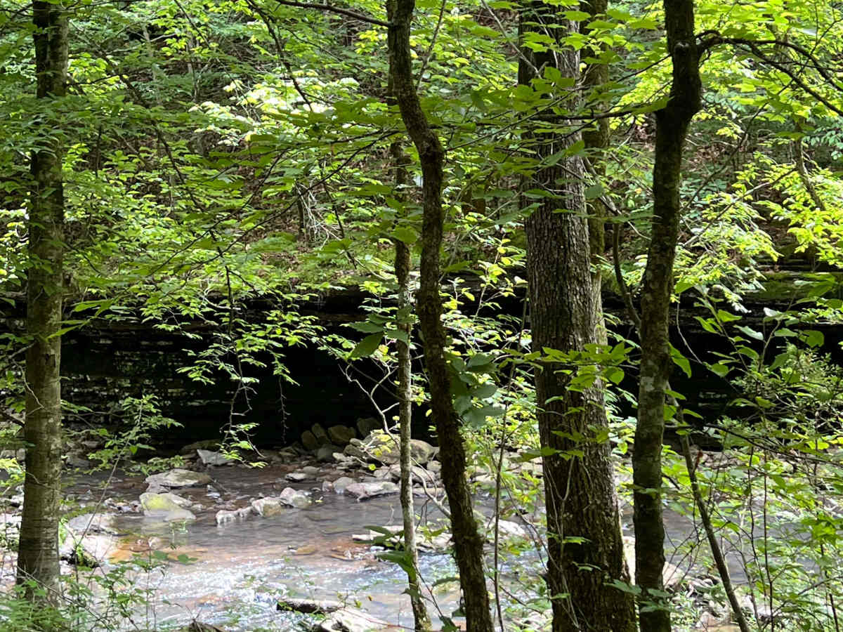 Murray creek photo 3