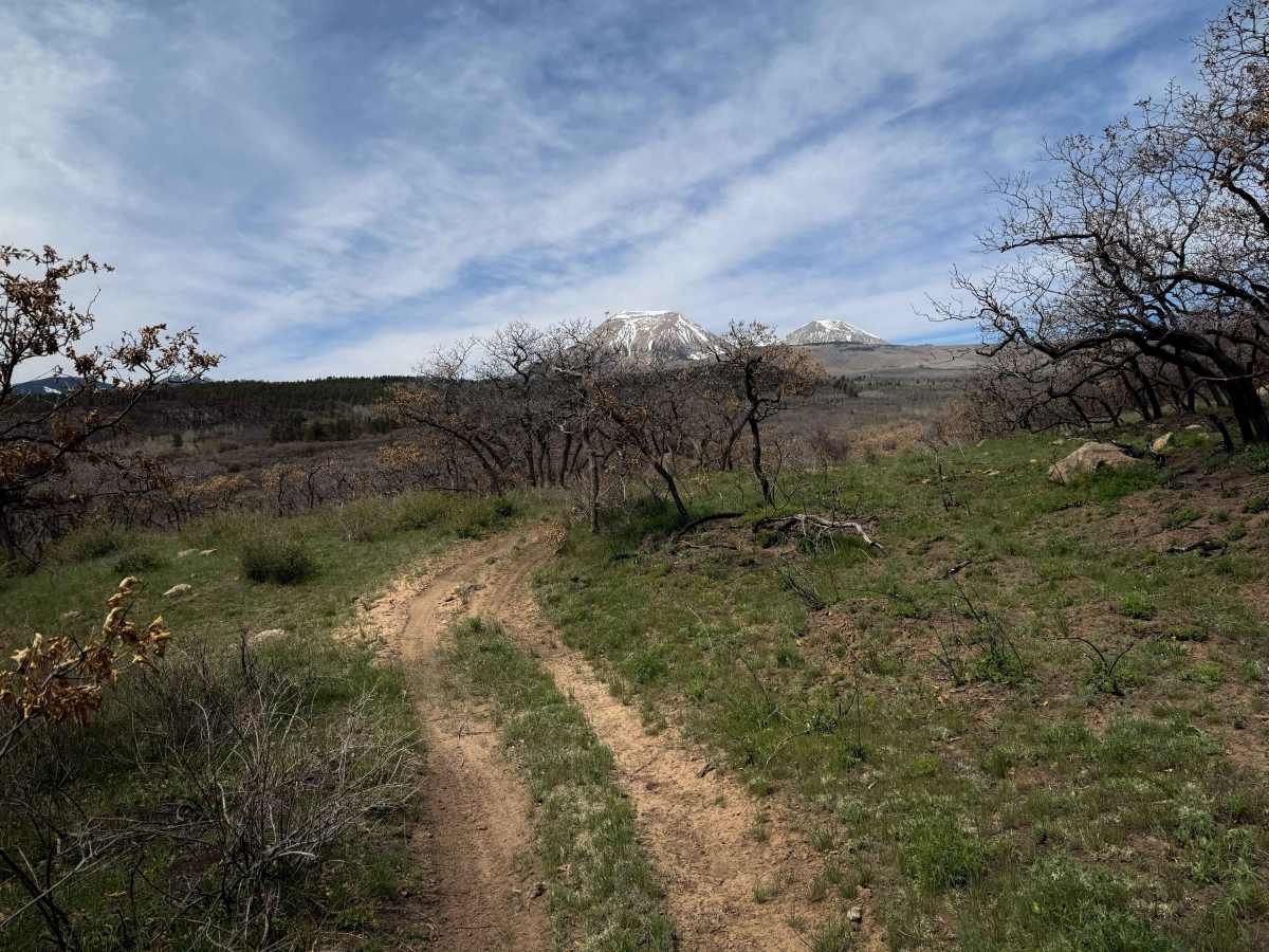 Lower 2 Mile Loop  photo 4