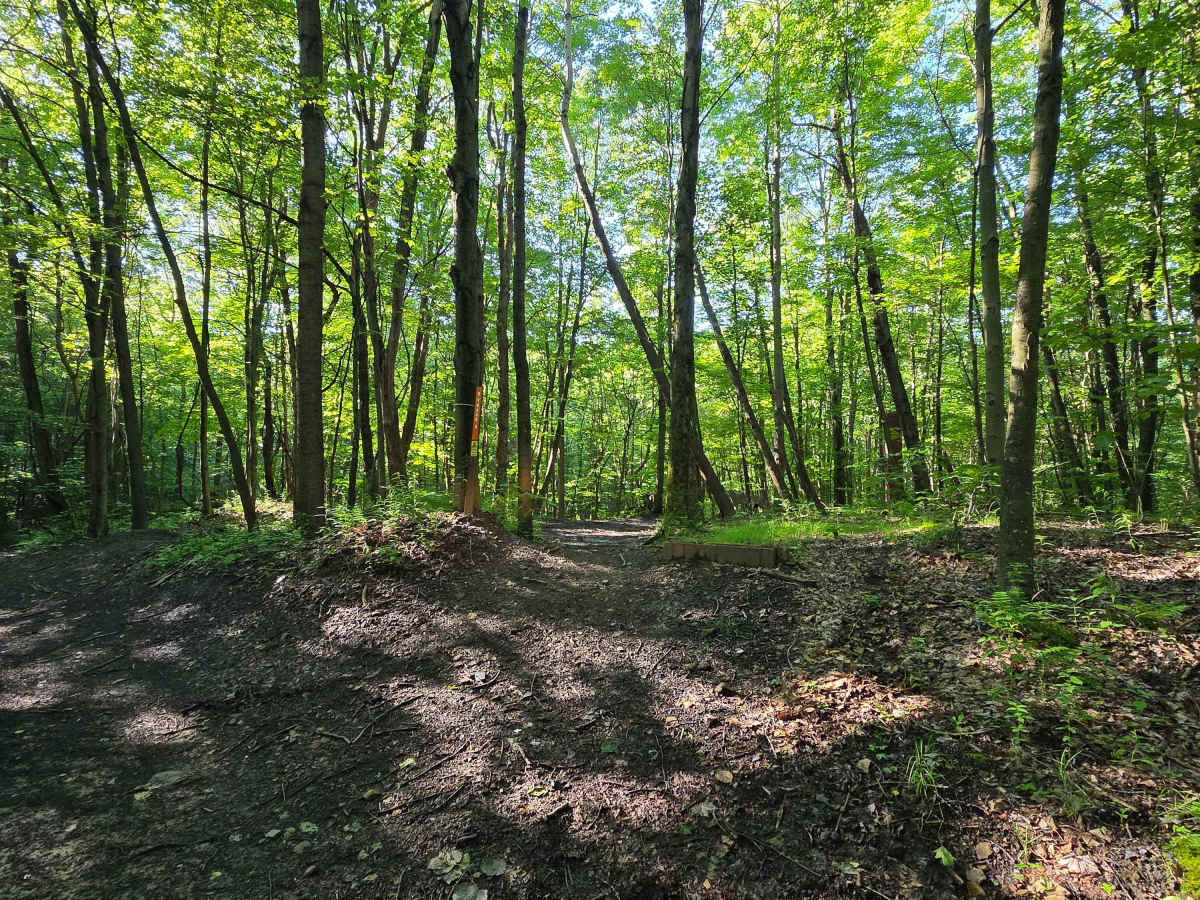 Single Track C3 photo 2
