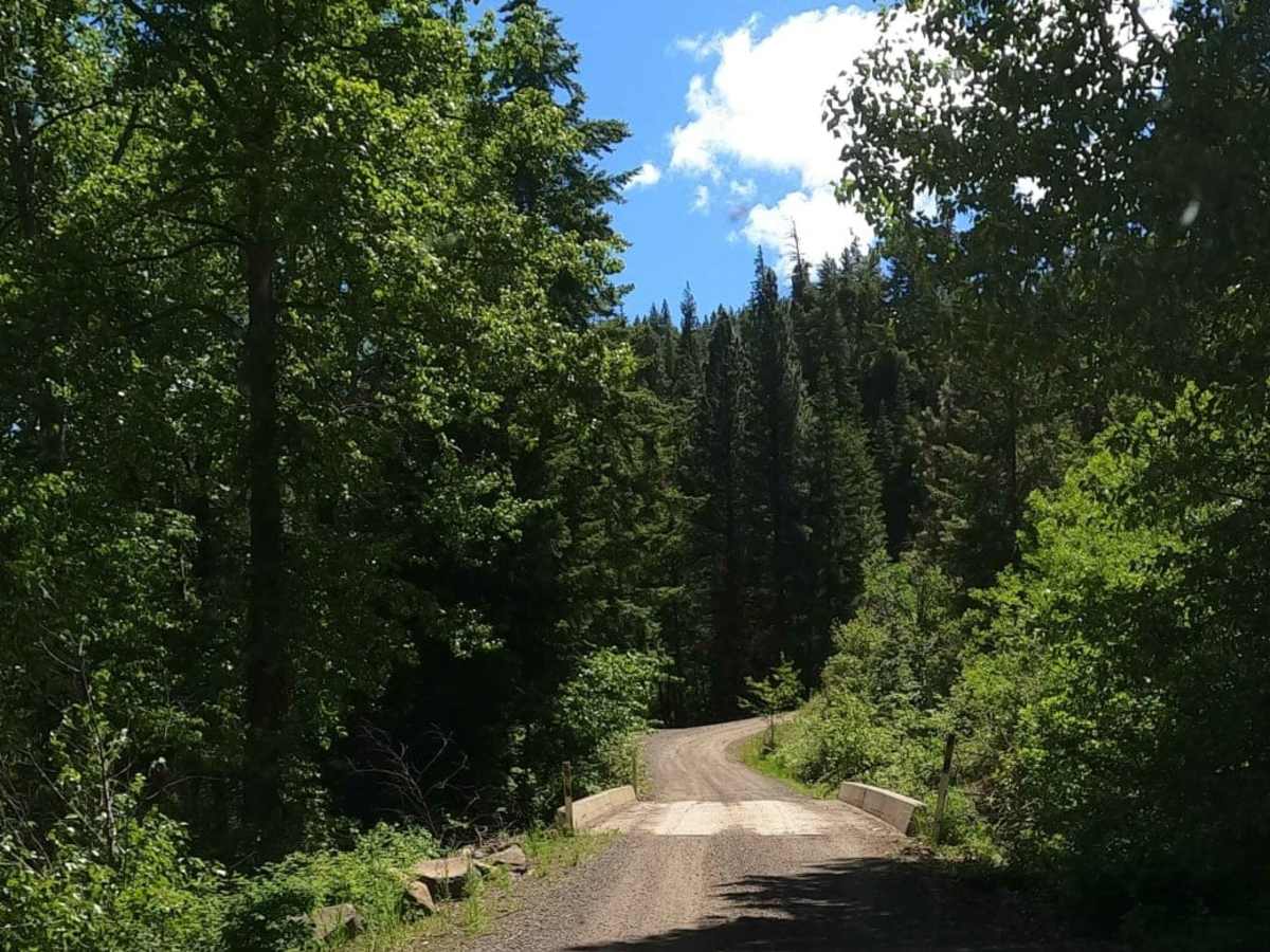 Barber Springs Road photo 2