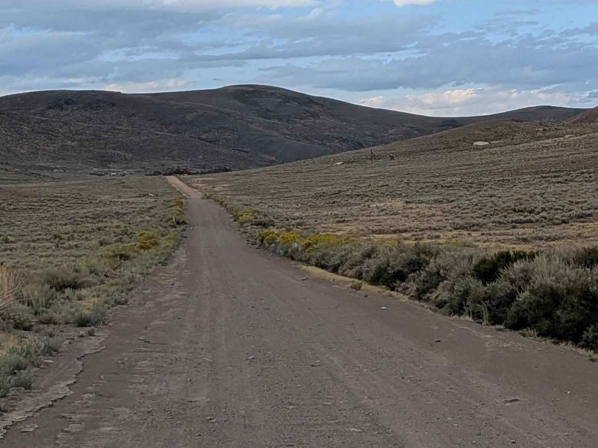 Cottonwood Canyon Road trail photo