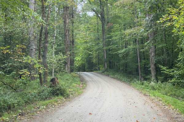Klondike Road