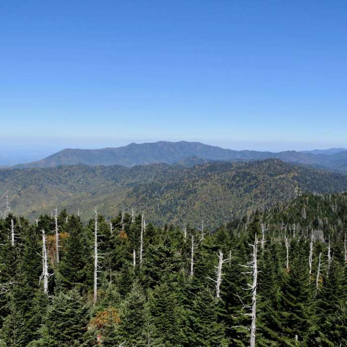 Near Appalachian Trail: Fontana Dam to Clingmans Dome