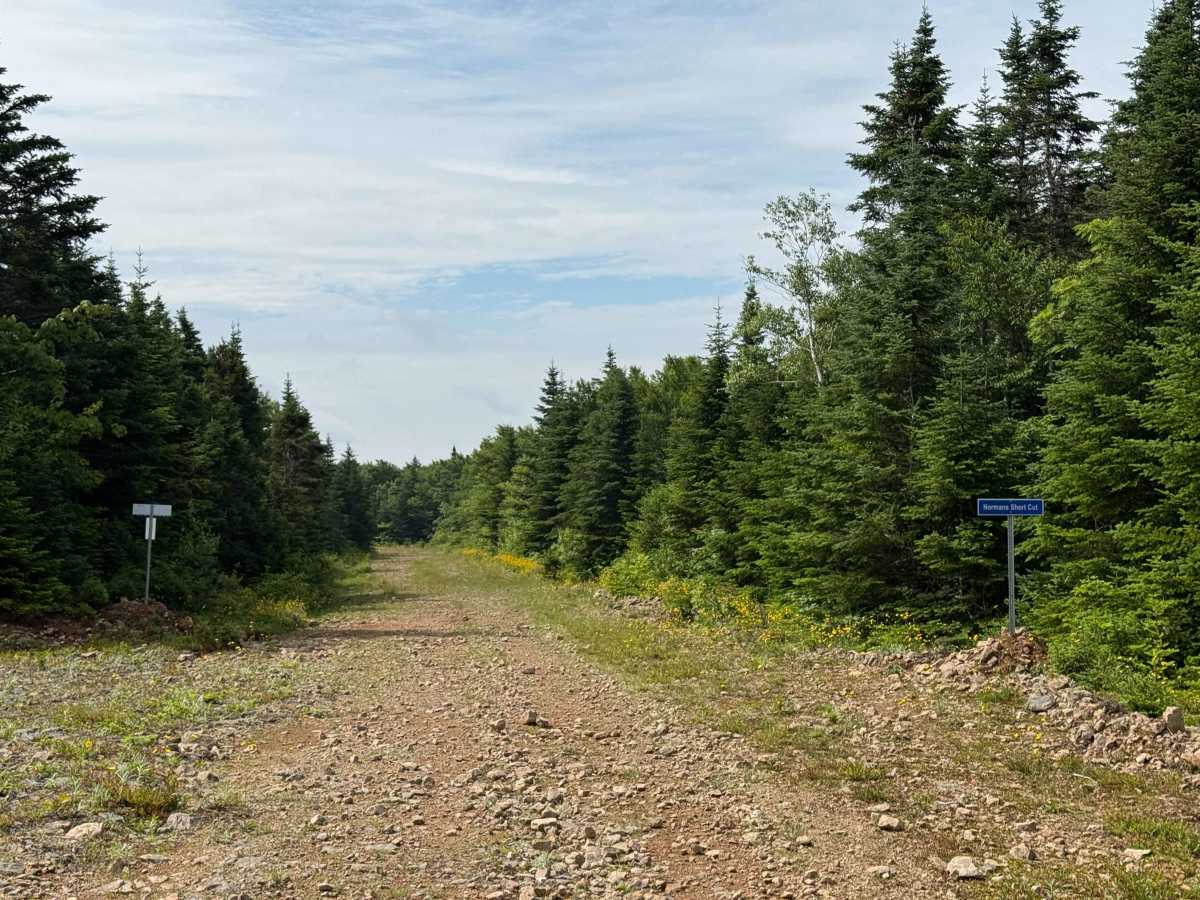 Normans Short Cut trail photo