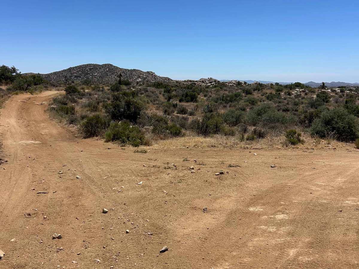 The Buzz Route - BLM 2320 photo 3