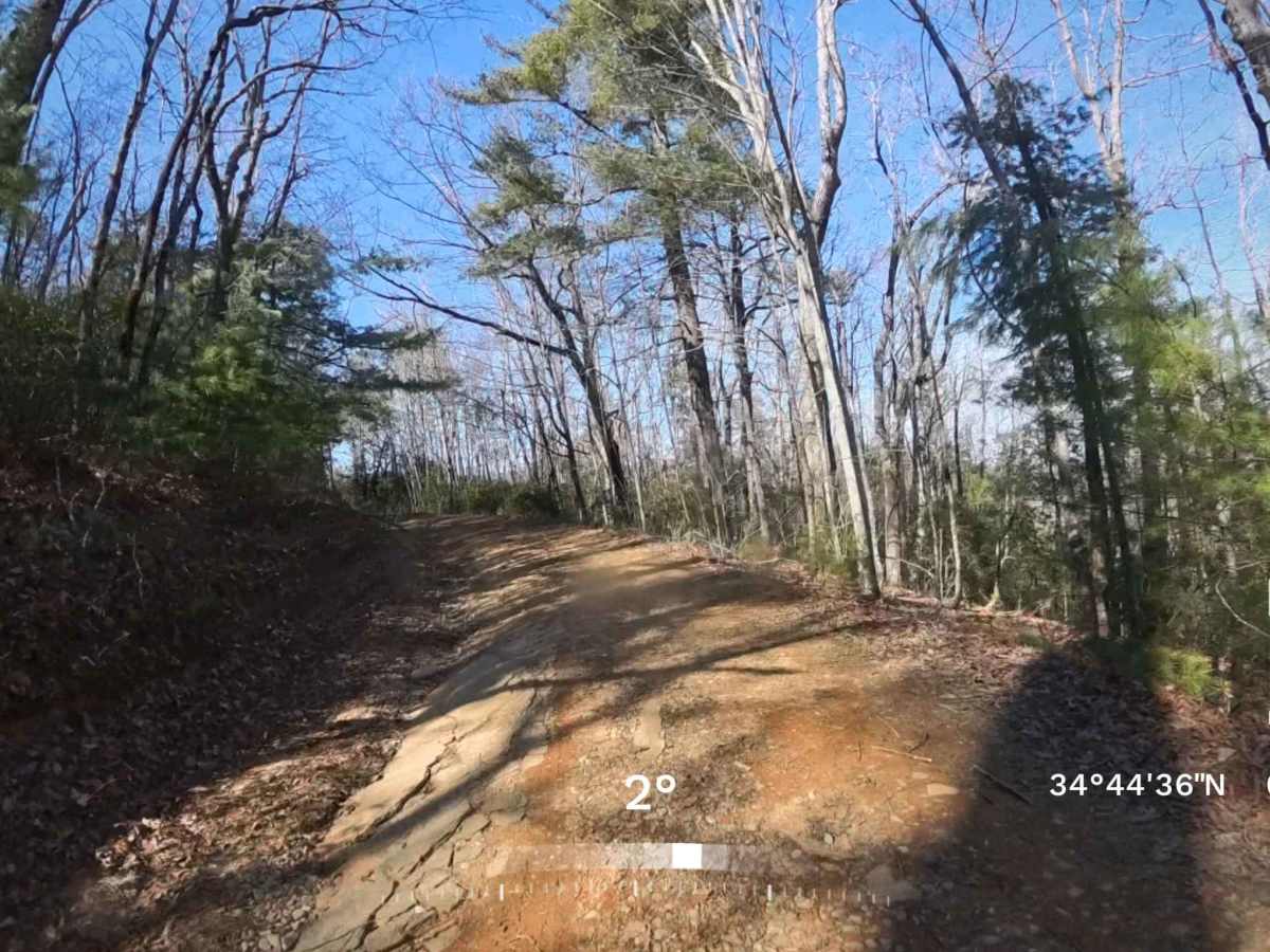 Ann Gap - FS 410 photo 4