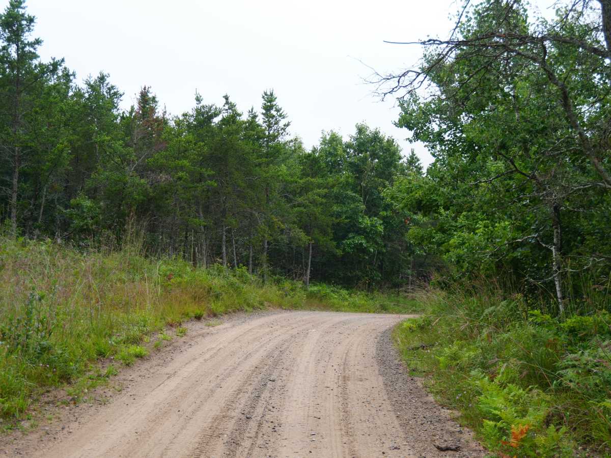 Deer Road photo 5