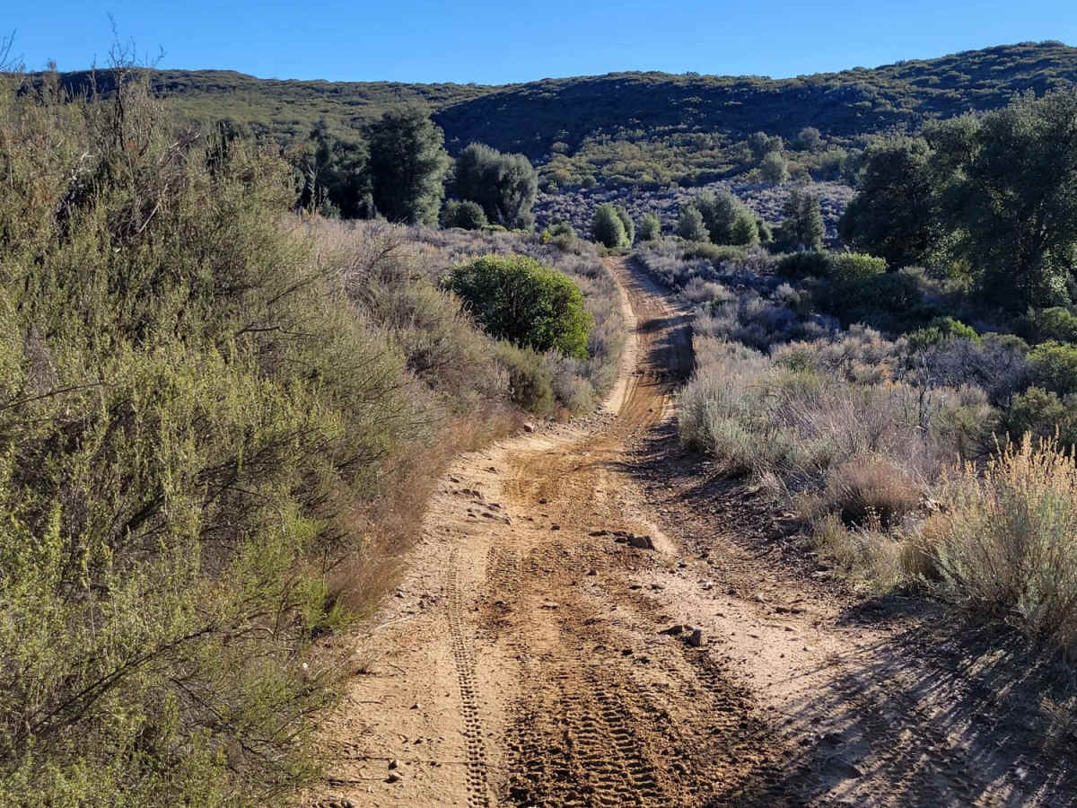 Long Valley Loop Road trail photo