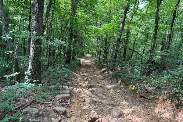 Lakeview Trail